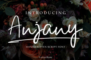 Anjany Script Amp Review: A Designer’s Take on Real-World Use