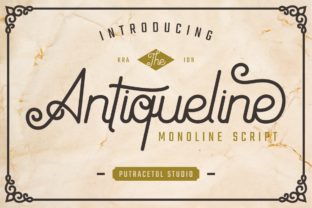 Antiqueline: Elevate Your Brand Identity With a Premium Serif Typeface