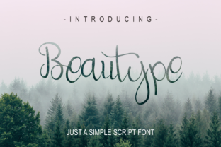 Beautype: A Luxurious Script Font for Classy Branding Projects