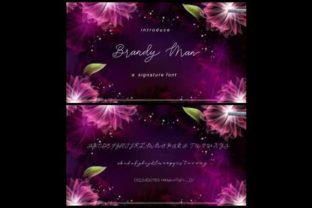 Brandy Jelly Duo Font Review: Elegance in Every Curve