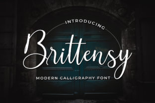 Brittensy Font: A Feminine Touch for Modern Branding