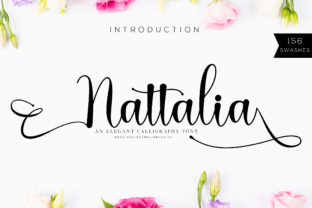 Nattalia Font Review: A Chic Script for Campaign Headlines