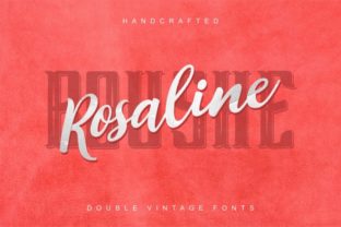 Rosalina Boushe Duo: A Modern Typeface for Digital Brand Identity