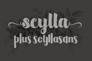 Scylla Typeface Review: Bold Script for Modern Brand Identity