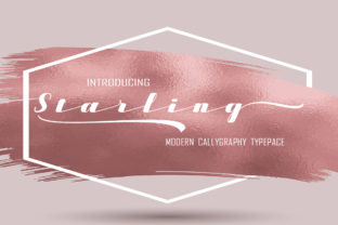 Starling Font: A Modern Calligraphy Typeface for Branding Projects