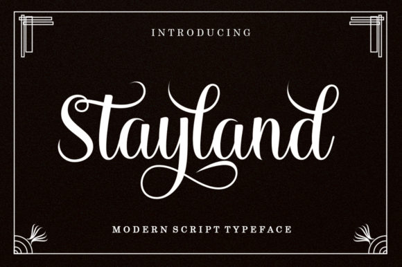 Stayland Font Review: A Modern Script for Strong Brand Statements