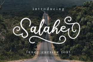Why I Chose Salahe for My Next Web Design Project
