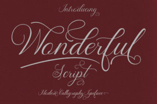 Wonderful Font: A Modern Script for Campaign Design